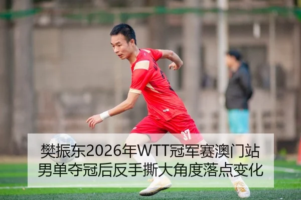 樊振东2026年WTT冠军赛澳门站男单夺冠后反手撕大角度落点变化